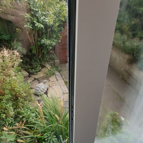 Pre Build Cleaning Torpoint